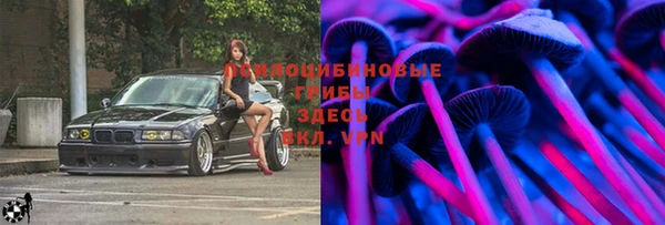apvp Новодвинск