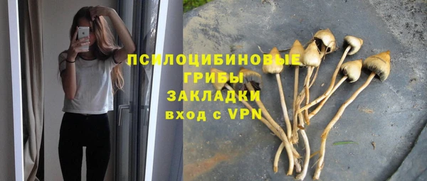 apvp Новодвинск