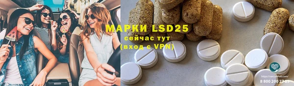 эйфоретик Новокубанск