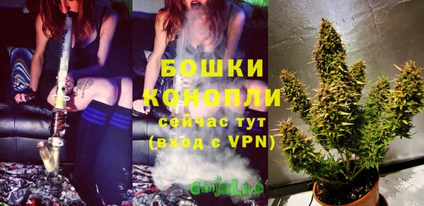 эйфоретик Новокубанск