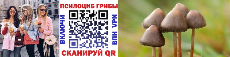 blacksprut как зайти  Пустошка  Псилоцибиновые грибы Cubensis 
